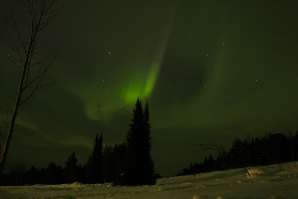 Aurora