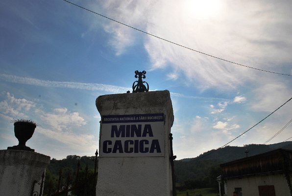 66_Kaczyca