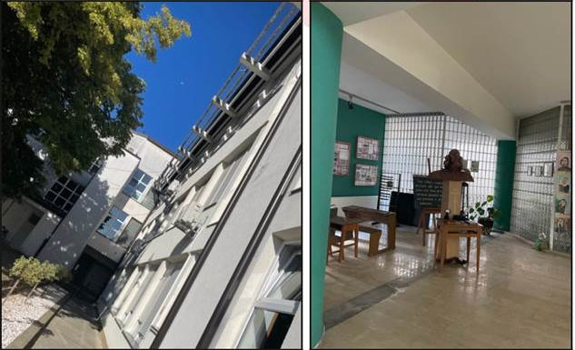 Obsah obrázku strom, snímek obrazovky, umění, design 