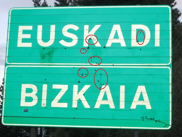baskove_spanelsko_19