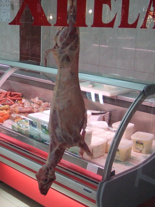 pomaci-makedonie31
